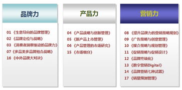 品牌管理的核心与实践 赋能企业市场部的内训指南